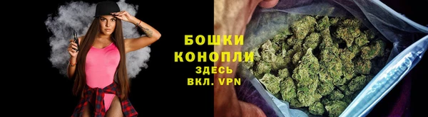 гидра Заволжье