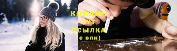 PSILOCYBIN Заводоуковск