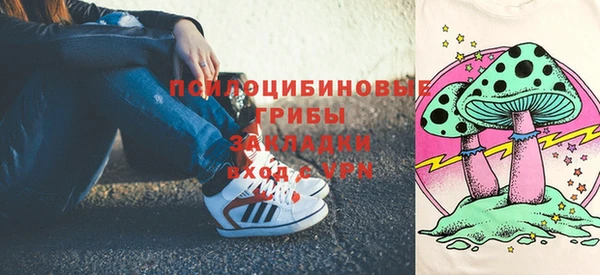 PSILOCYBIN Заводоуковск