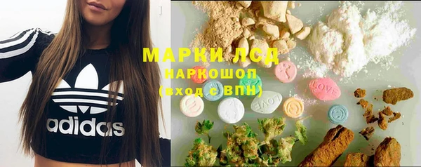 PSILOCYBIN Заводоуковск