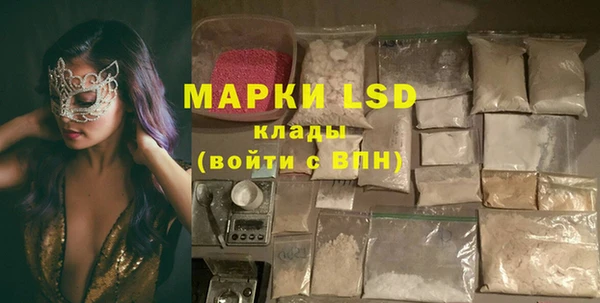 PSILOCYBIN Заводоуковск