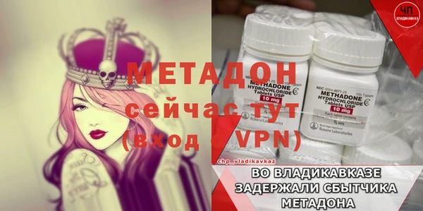 PSILOCYBIN Заводоуковск