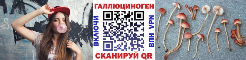 Галлюциногенные грибы Psilocybine cubensis  купить наркотик  Бор 