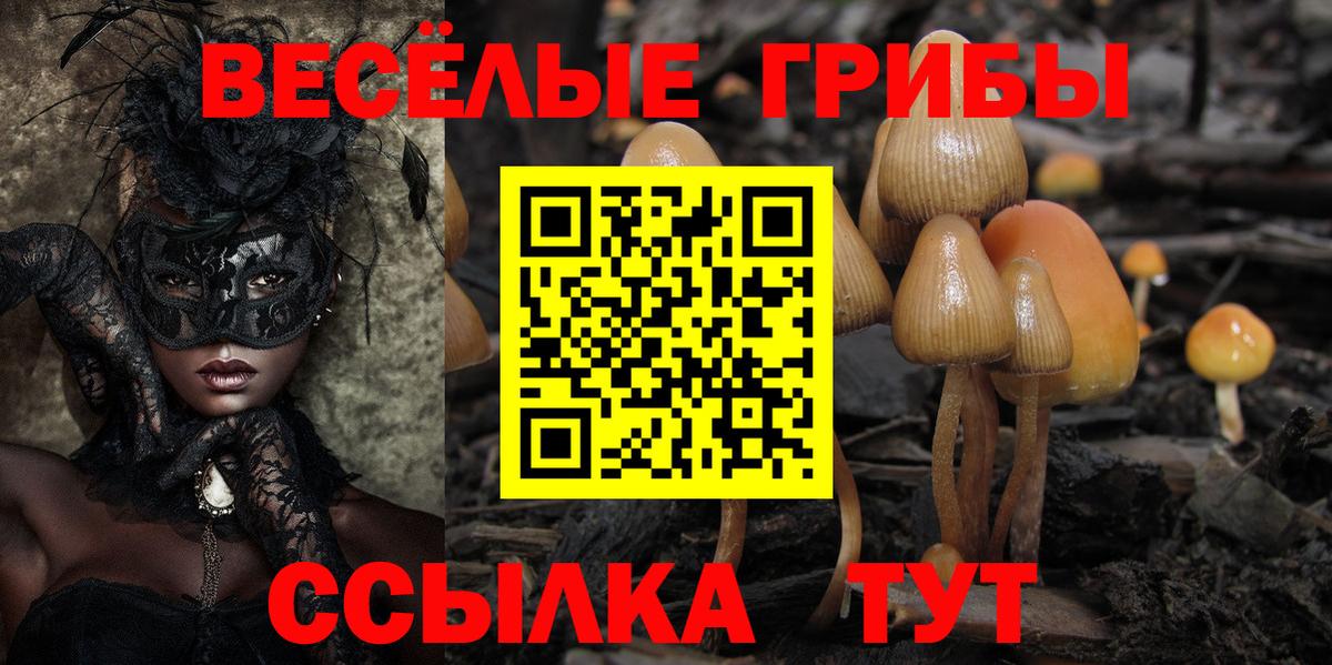Галлюциногенные грибы Cubensis Бор